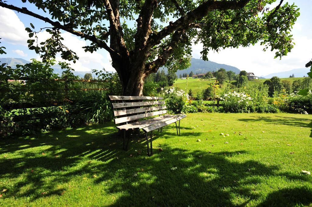 Appartement Brixental Hopfgarten im Brixental Exteriér fotografie